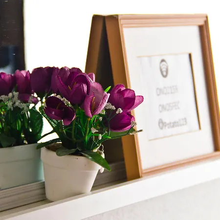 Casa de hóspedes Roomin 2*